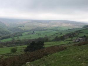 Moody atmosphere