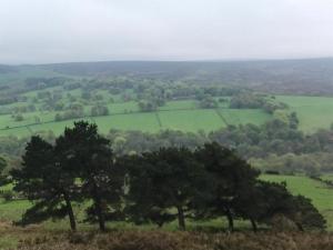 Still beautiful despite the weather