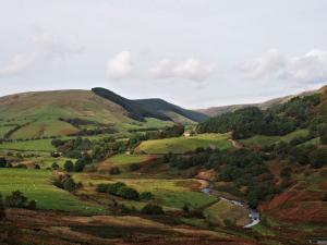 Alport Valley Plantations over the River Ashop
