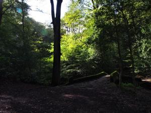 Light and shade, Glen Howe