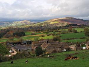 Over Thorpe Farm to Lose & Win