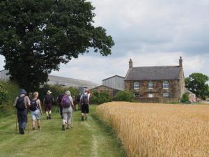 Approaching Bank Farm