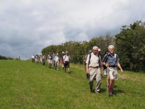 Gentle stroll to Flockton