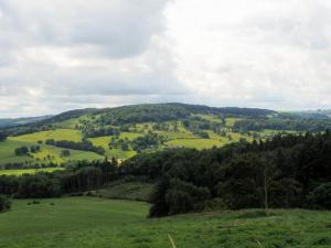 Stanton Moor Plantation skyline
