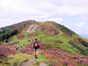 Up Conwy Mountain
