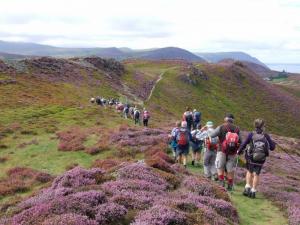 On Conwy Mountain