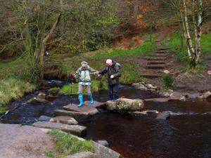 A tentative crossing