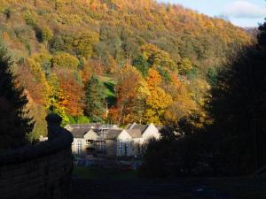 Autumn colours at More Hall