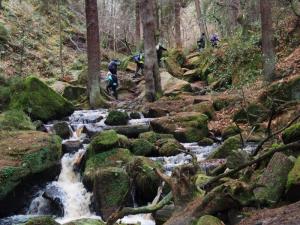Climbing Wyming