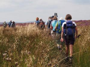 Crossing Nell Croft