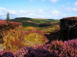 Disused quarry, Burbage