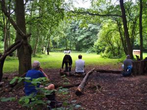 Lunch, Swithland Wood