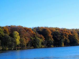 Newmillerdam, Nov 5th