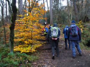 Start of Wyming Brook