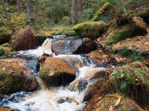 Wyming Brook falls