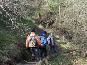 Approaching Abney