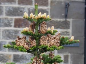 Cones old and new