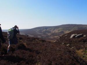 Distant Grinah Stones