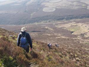 Down Hoar Clough