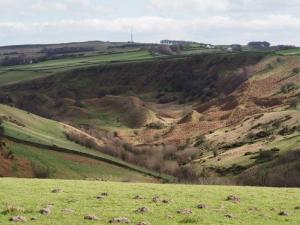 Old mine workings