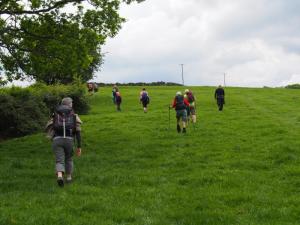 The green grass to home