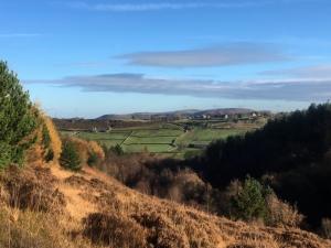 Towards Hade