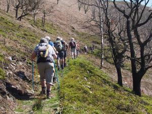 Up Broadhead Clough