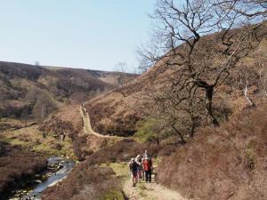 Up Oaken Bank
