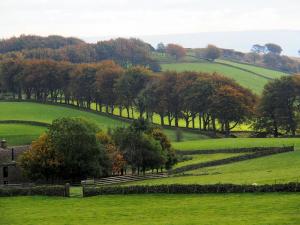 Just England.