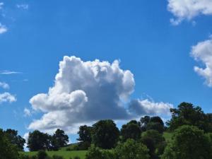 Name that cloud.