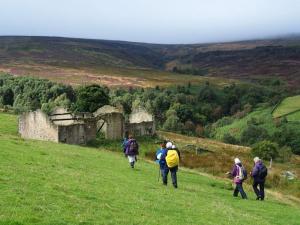 Ruin at Royd.