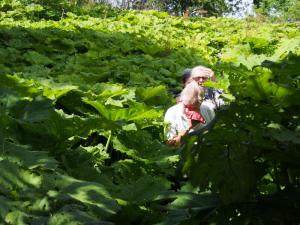 The Battle of Gunnera.