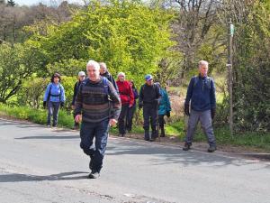 Crossing A636 at Bentley Dike