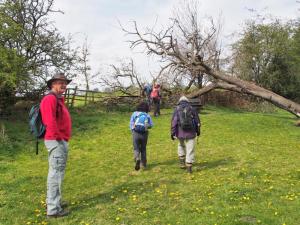Preparing to stile near Little Dike!