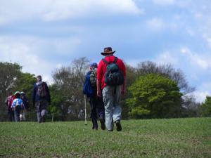 To Bilham Grange