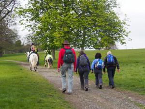 Following horses to Wilderness Plantation