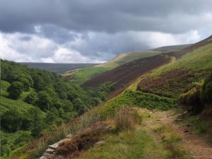 Abbey Brook