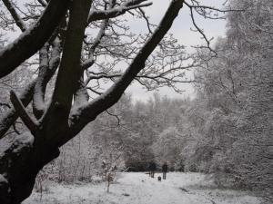 Canklow snow