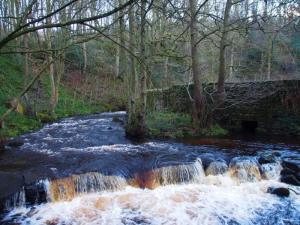 Colours of a Rivelin fall