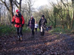 In Parkin Wood