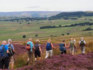 Over Longstone Moor