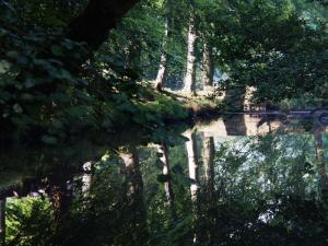 Reflections at Romticle