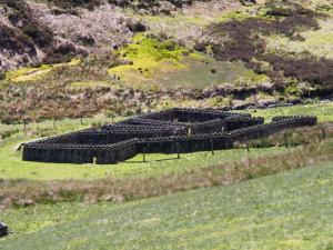 Sheepfold at Hordron on The Little Don