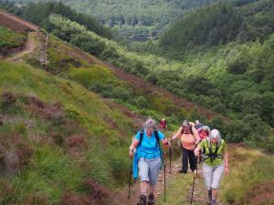 Starting up Abbey Brook