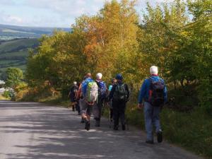 Walking into Autumn