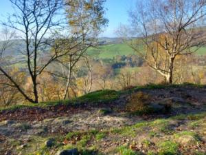 Autumnal view
