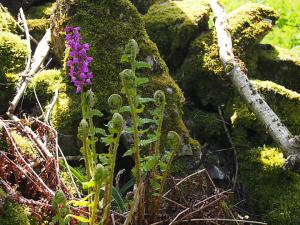 How wonderful nature is