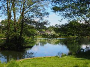 Tranquillity