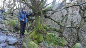If you go down to the woods today.....