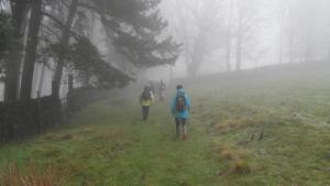 Disappearing into the mist